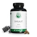 Shilajit vegan: Analyse, Vergleich und die Vorteile für Parapharmazieprodukte