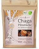 Chaga Pilz: Aktuelle Erfahrungen im Vergleich von Parapharmazieprodukten