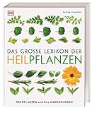 Analyse und Vergleich: Die Wirkung von Heilpflanzen in Parapharmazieprodukten