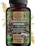 Cordyceps: Analyse, Vergleich und Vorteile in der Welt der Parapharmazieprodukte