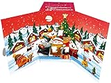 Analyse und Vergleich: Sonnentor Gewürz Adventskalender im Fokus der Parapharmazie Vorteile